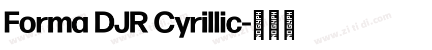 Forma DJR Cyrillic字体转换 Forma DJR Cyrillic字体转换